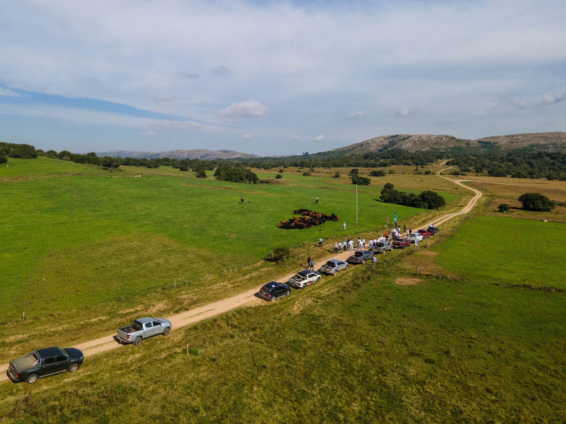 Gira Brangus 2025: genética, campo y camaradería