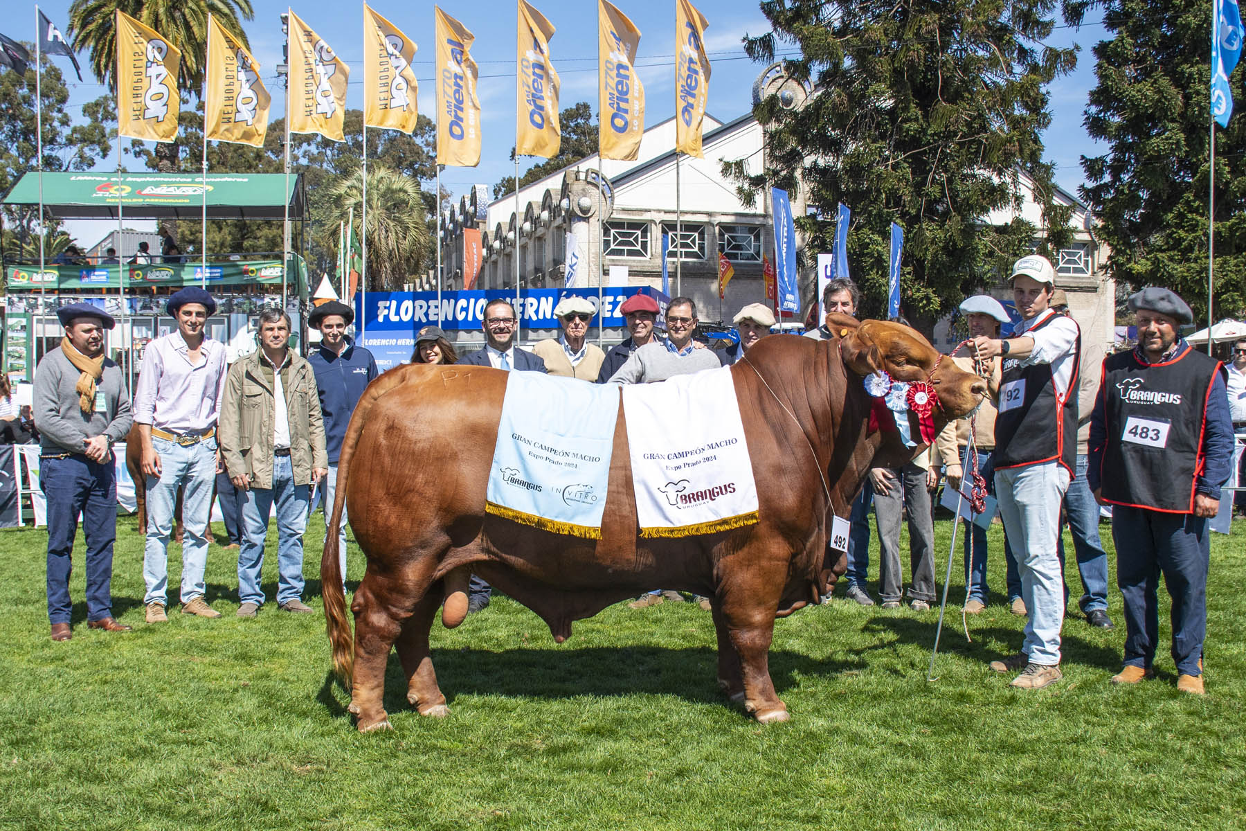Brangus brilló en la Expo Prado 2024